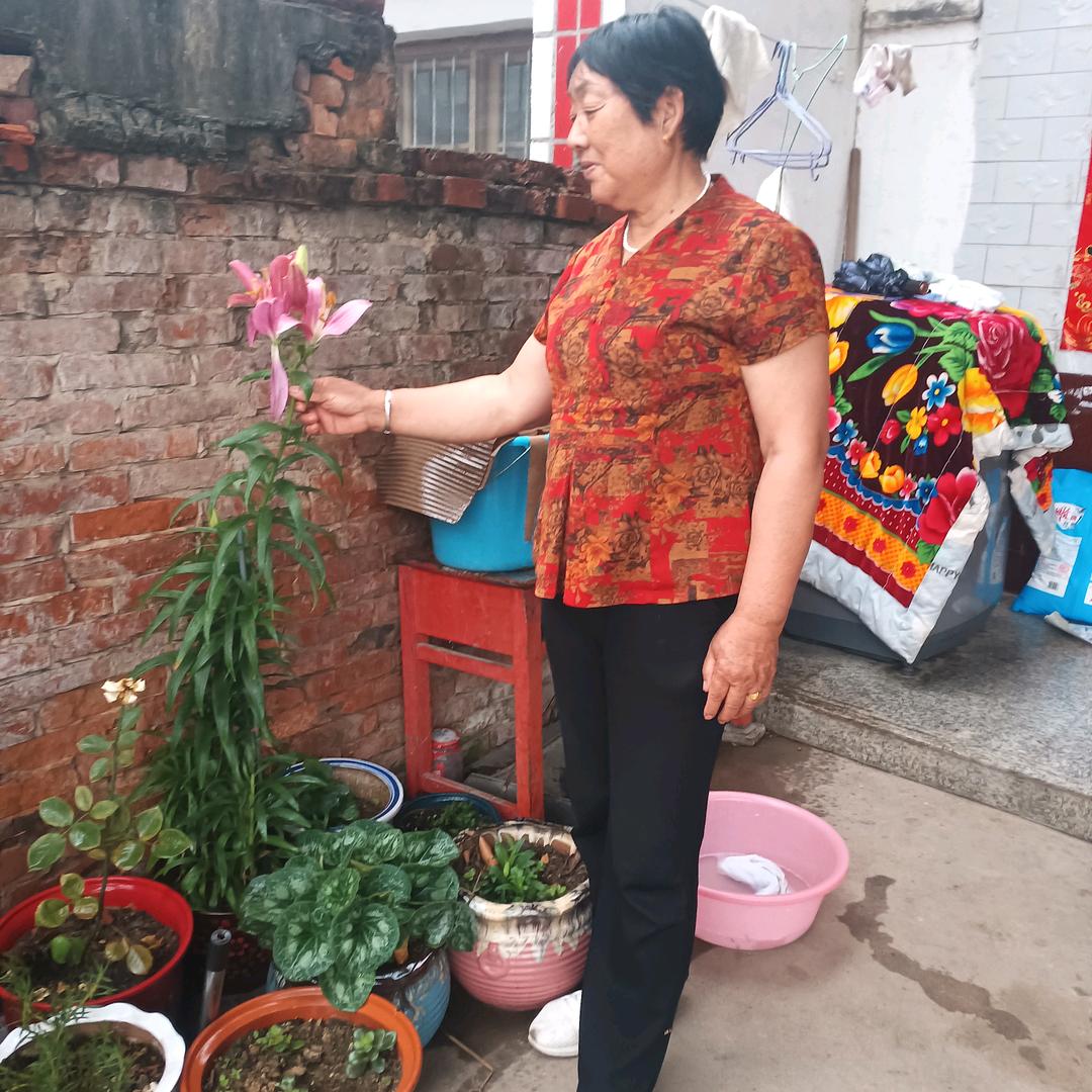 老开心🌺