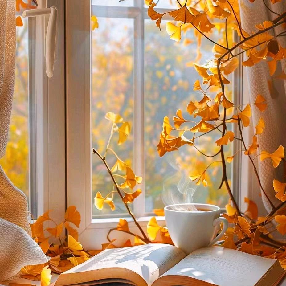 苗苗的烟火人间