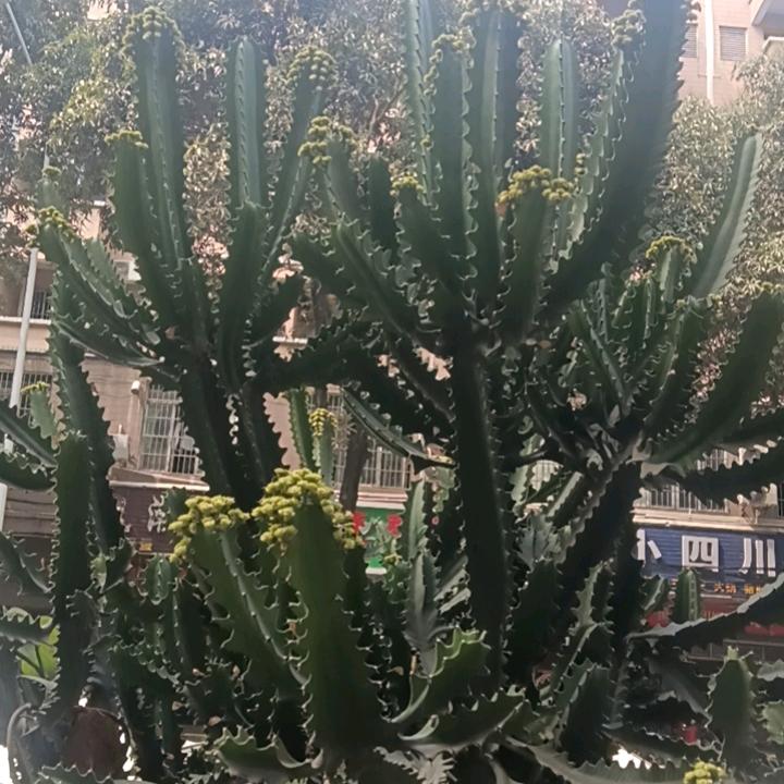 关闭烦恼