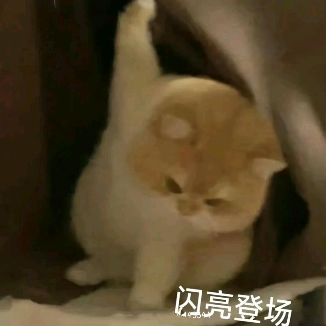 Lyyyyyyyyyyyyyyyyy头像