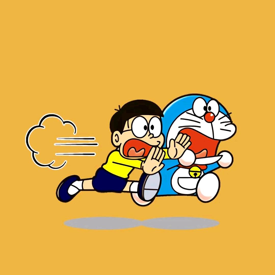 爱吃西红柿