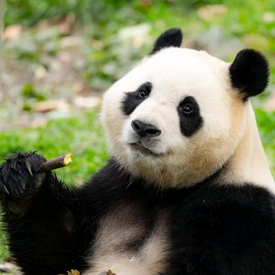 晚秋啊