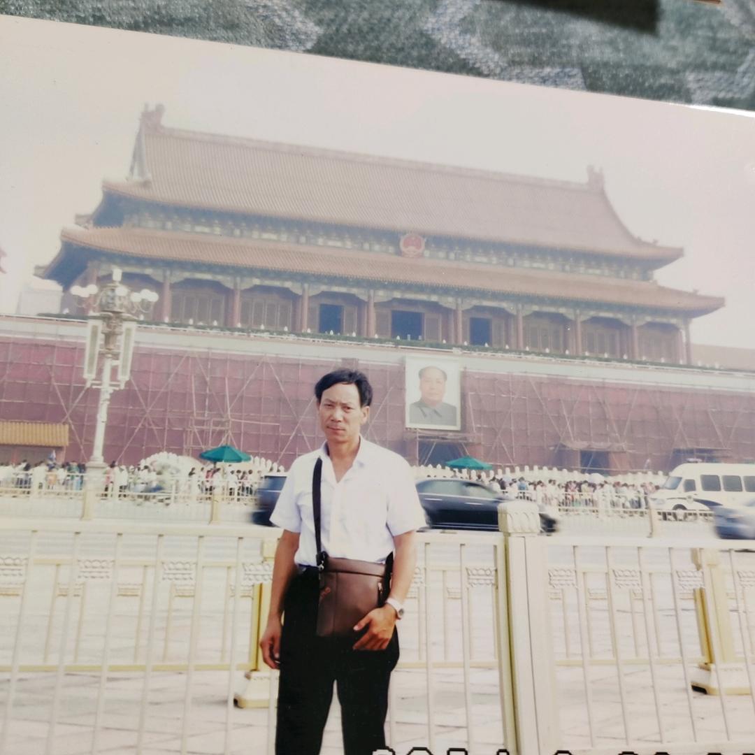 印树周
