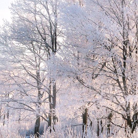 暖暖百货商贸部