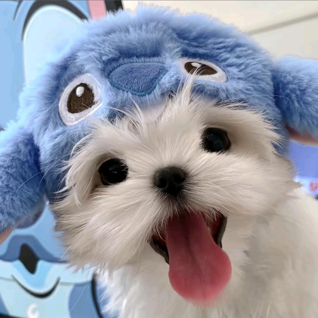 许七安