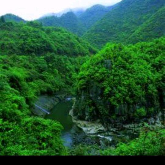 陌声