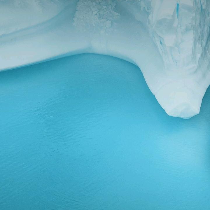 桂芝
