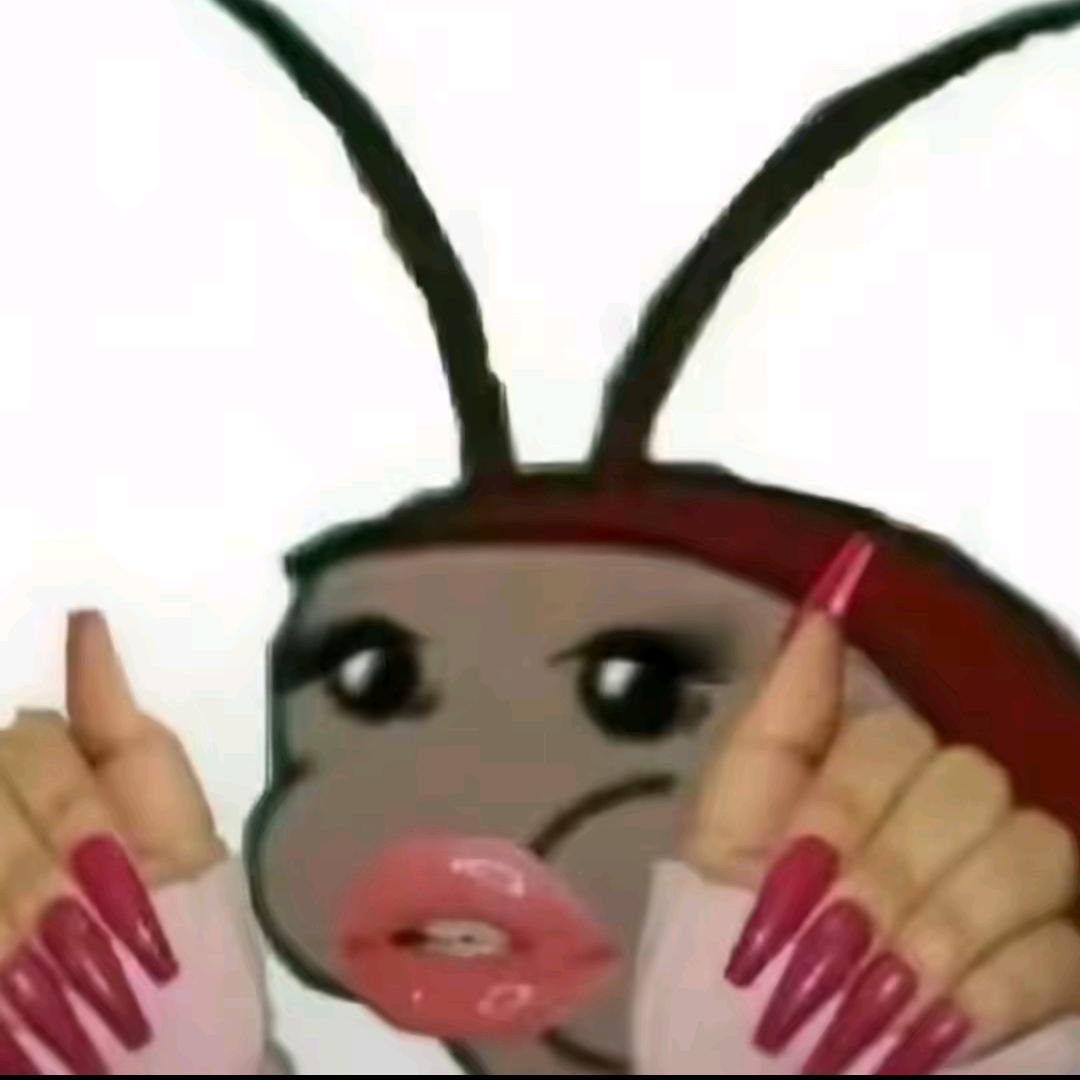 蟑螂.💐