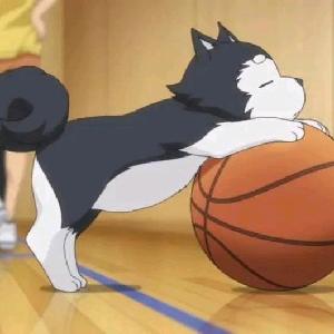 Yu3