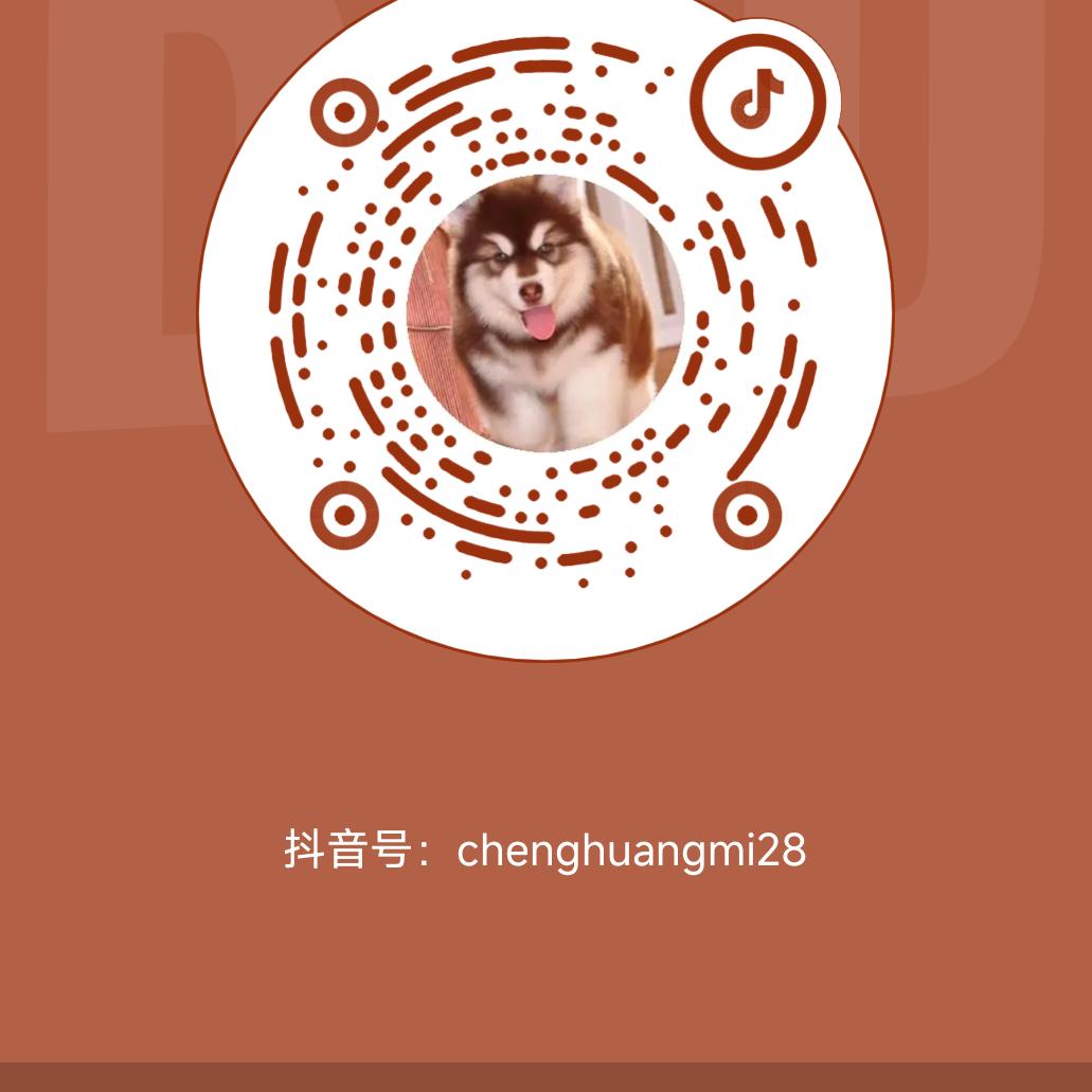 小孟哥（萌宠）柴犬，