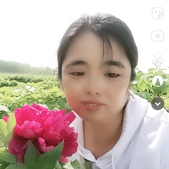 段三姐