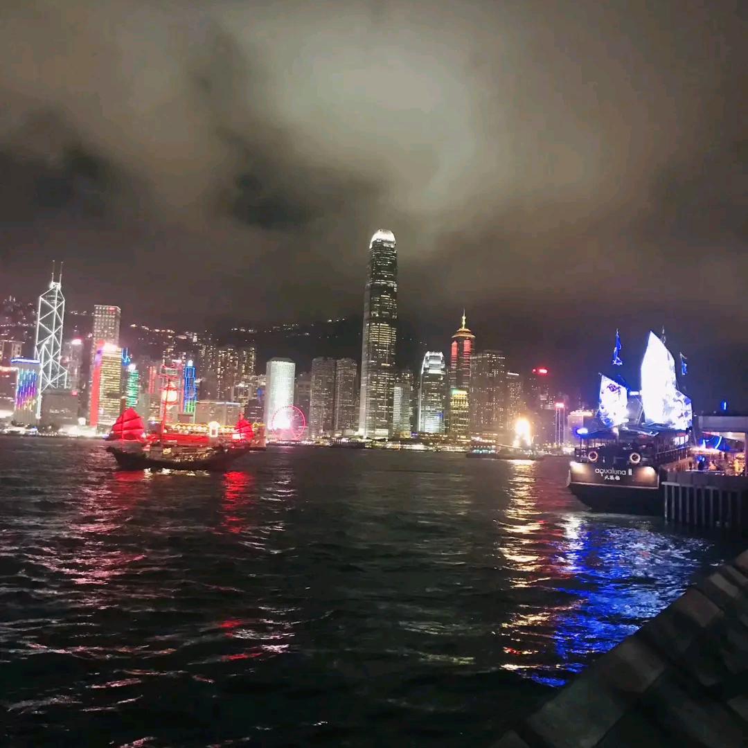卷柏