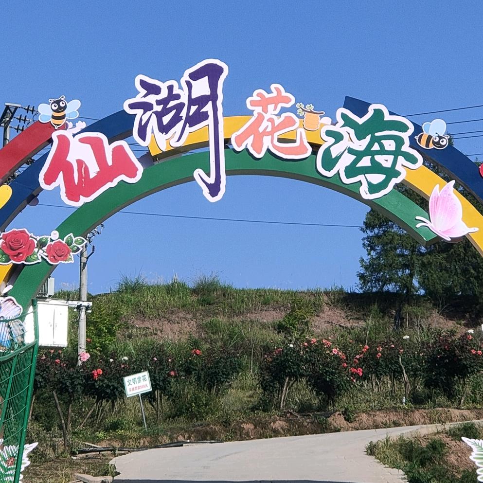 仙湖花海