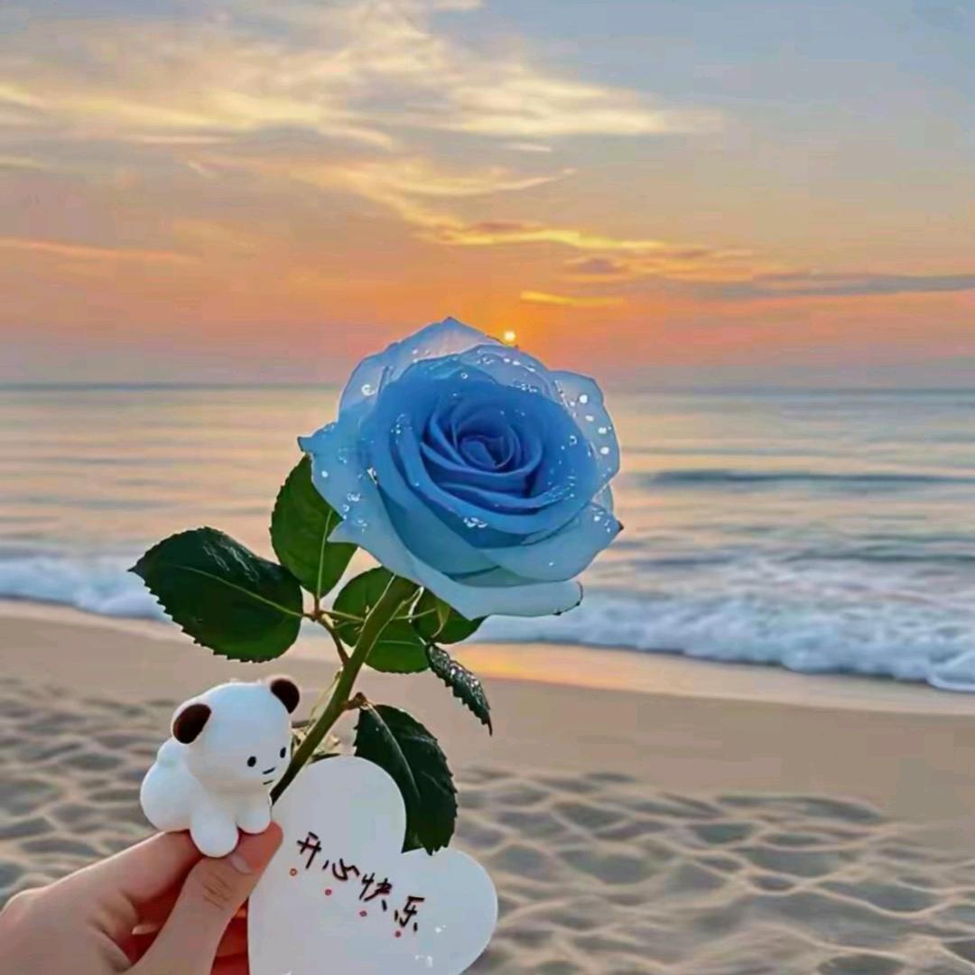 এ᭄暖阳ꦿ浅照ོ࿐ᩚ