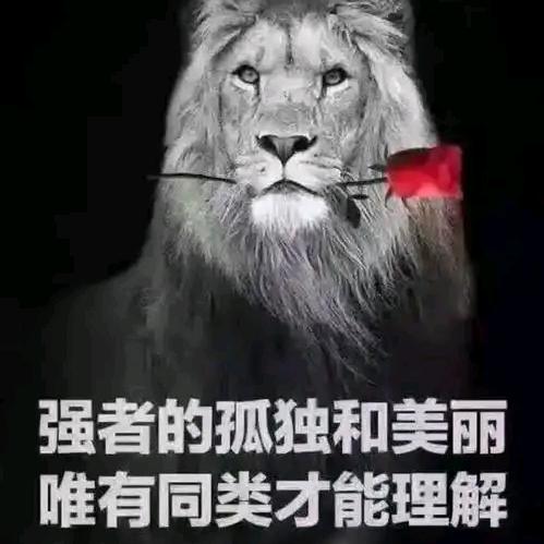 大道起个名字好难