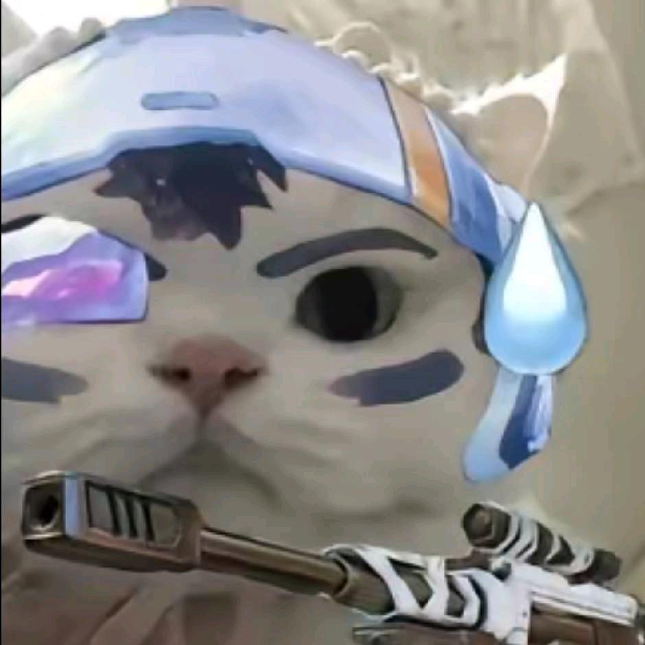 小马（三角洲行动）