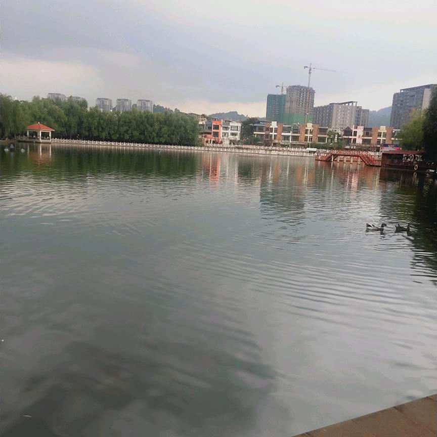 从此梦中无你
