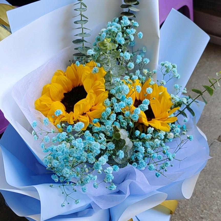 魔法画笔哆来咪