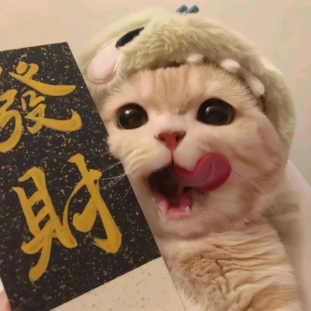 橘和她的猫