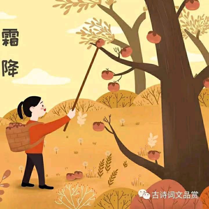 柿子