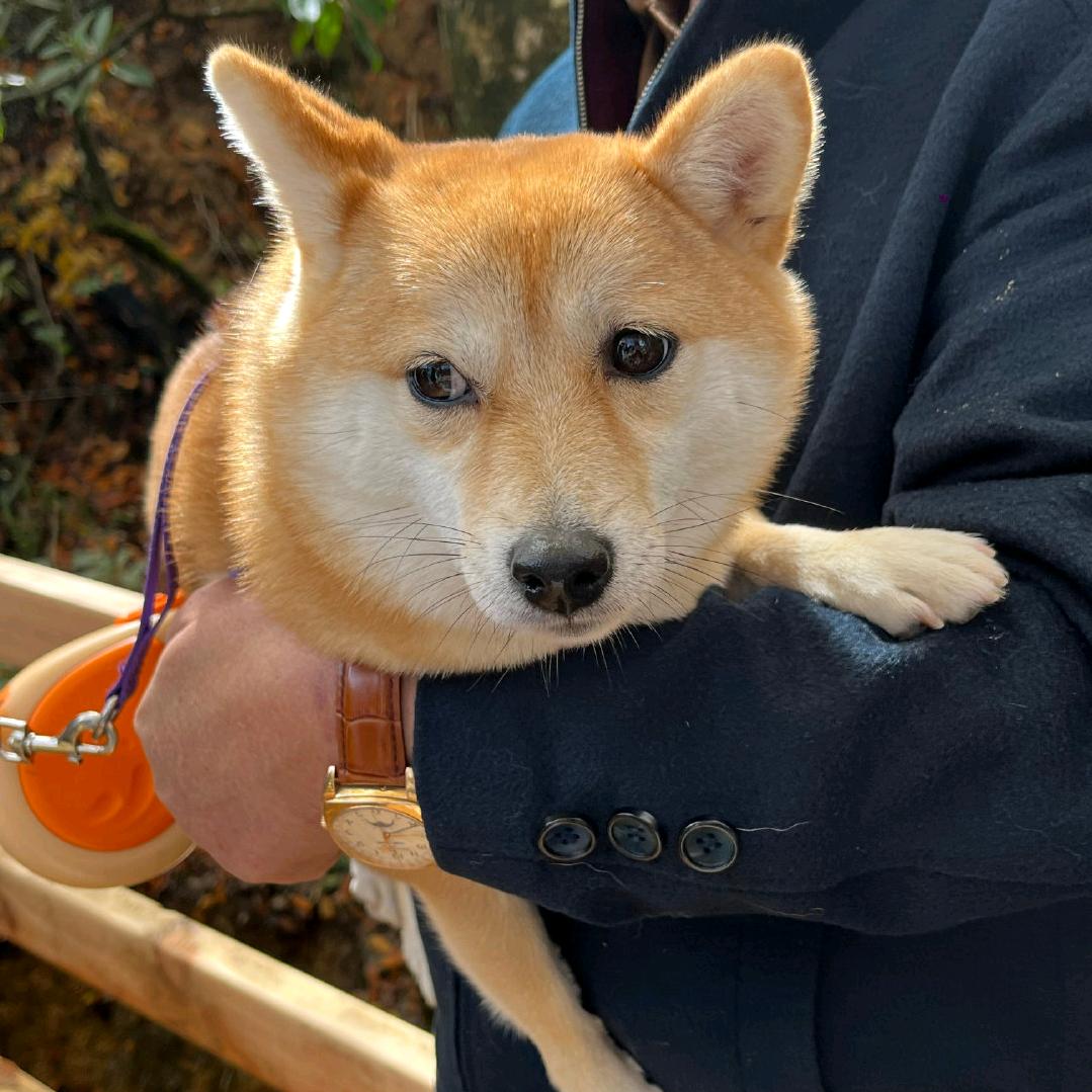 红火尧柔的橱窗