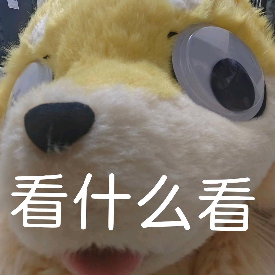 三明治🔜冬兽聚