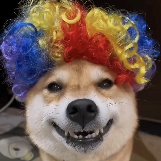 可能要在上一层楼