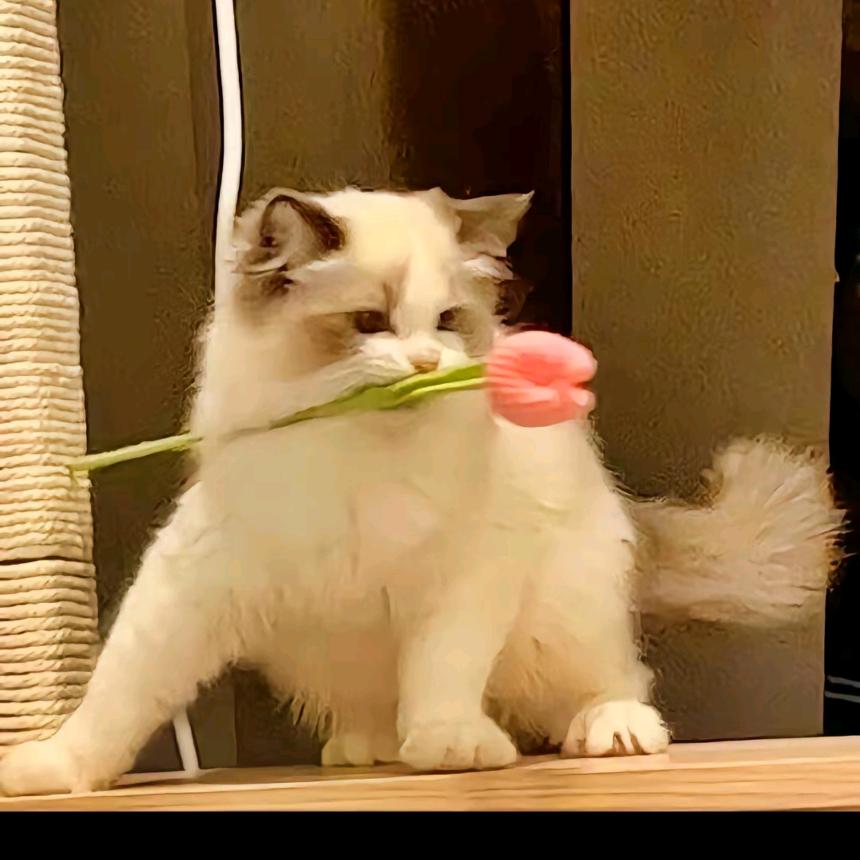 一吕阳光