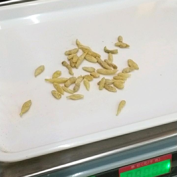 本草哥