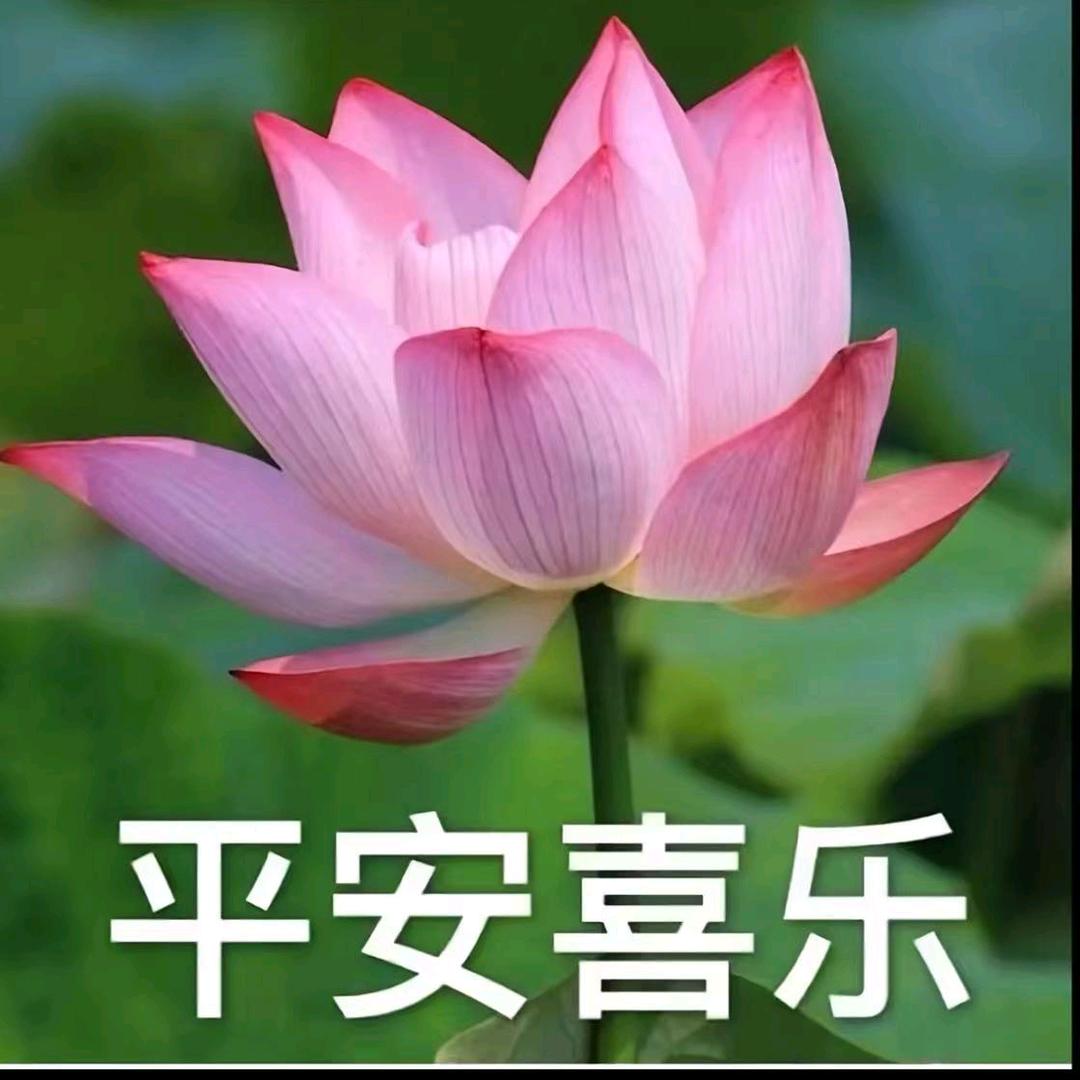 尿素麻袋