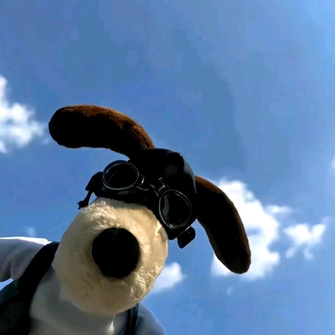 summer •͈ᴗ⁃͈