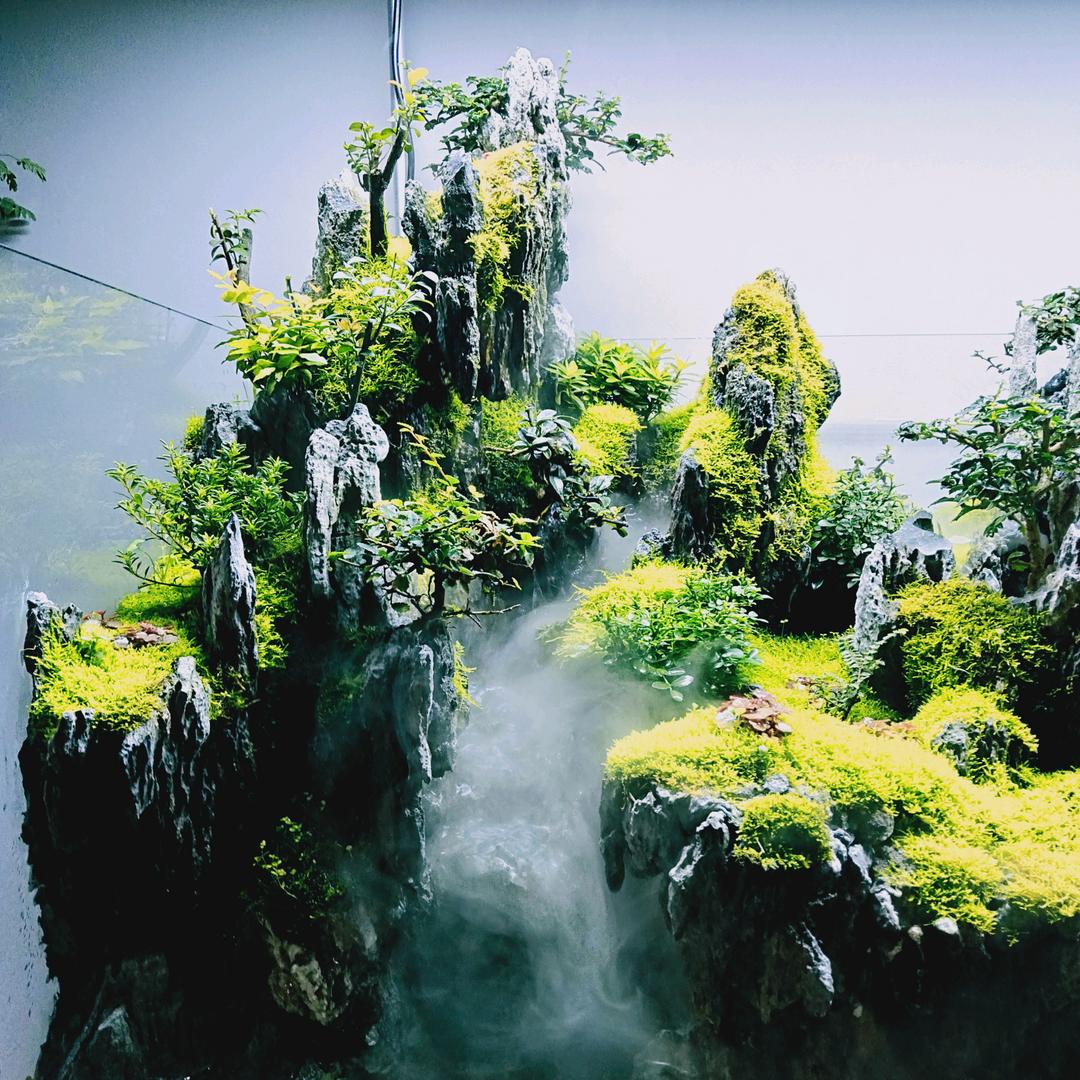 隐南·山水景观