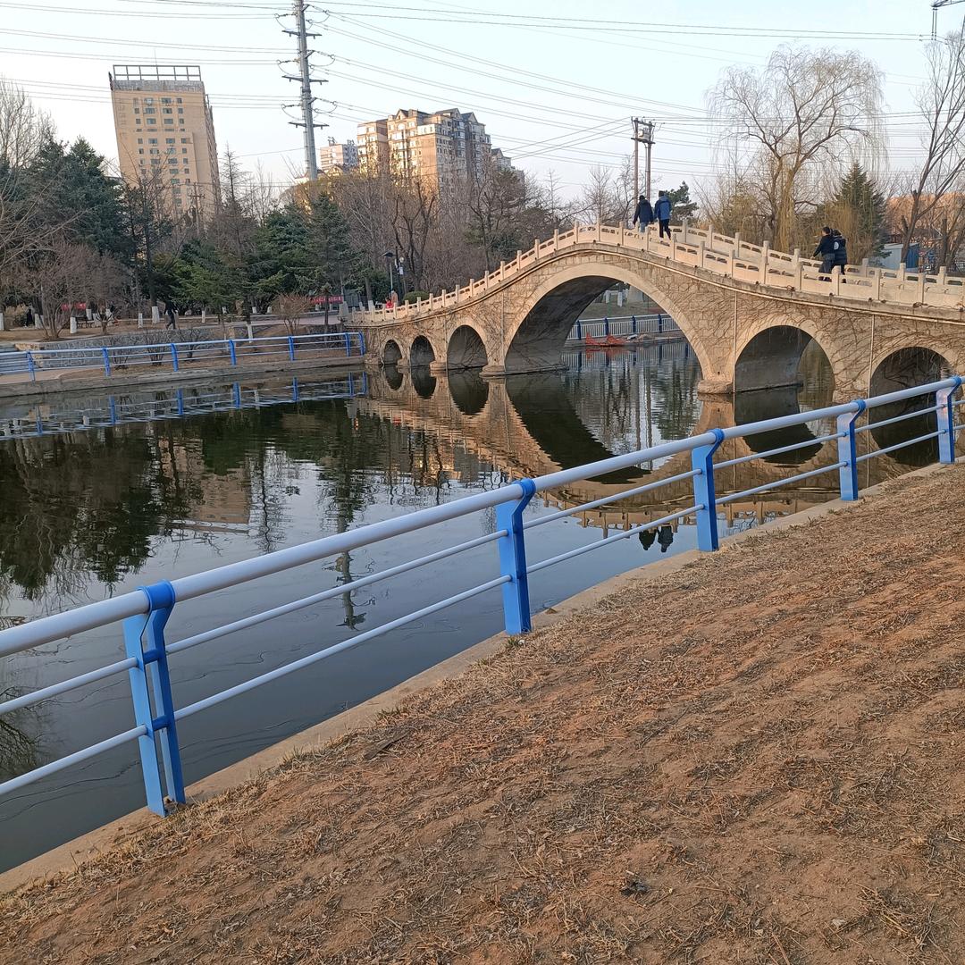 会飞的鱼🐟🐟🐟🐟