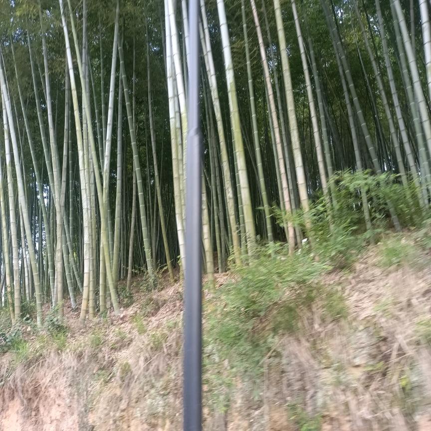 忘记过去