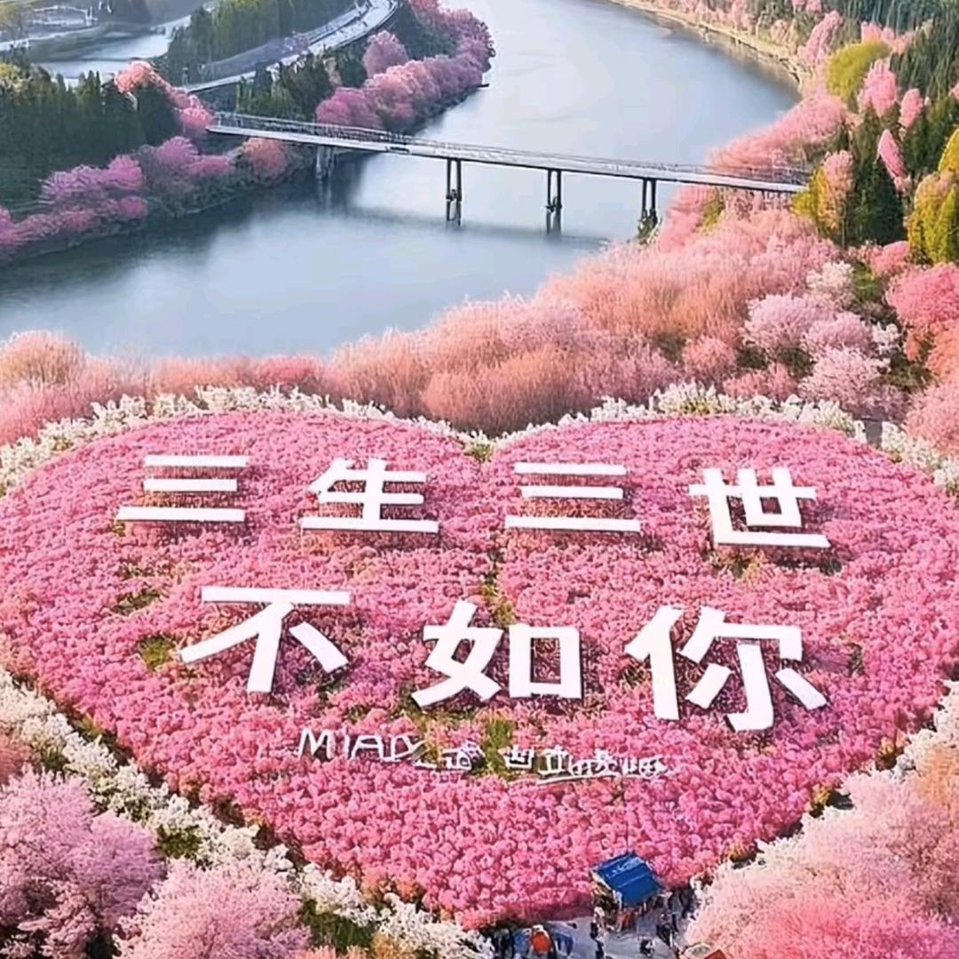 (｡･ω･｡)ﾉ♡小(>﹏<)米