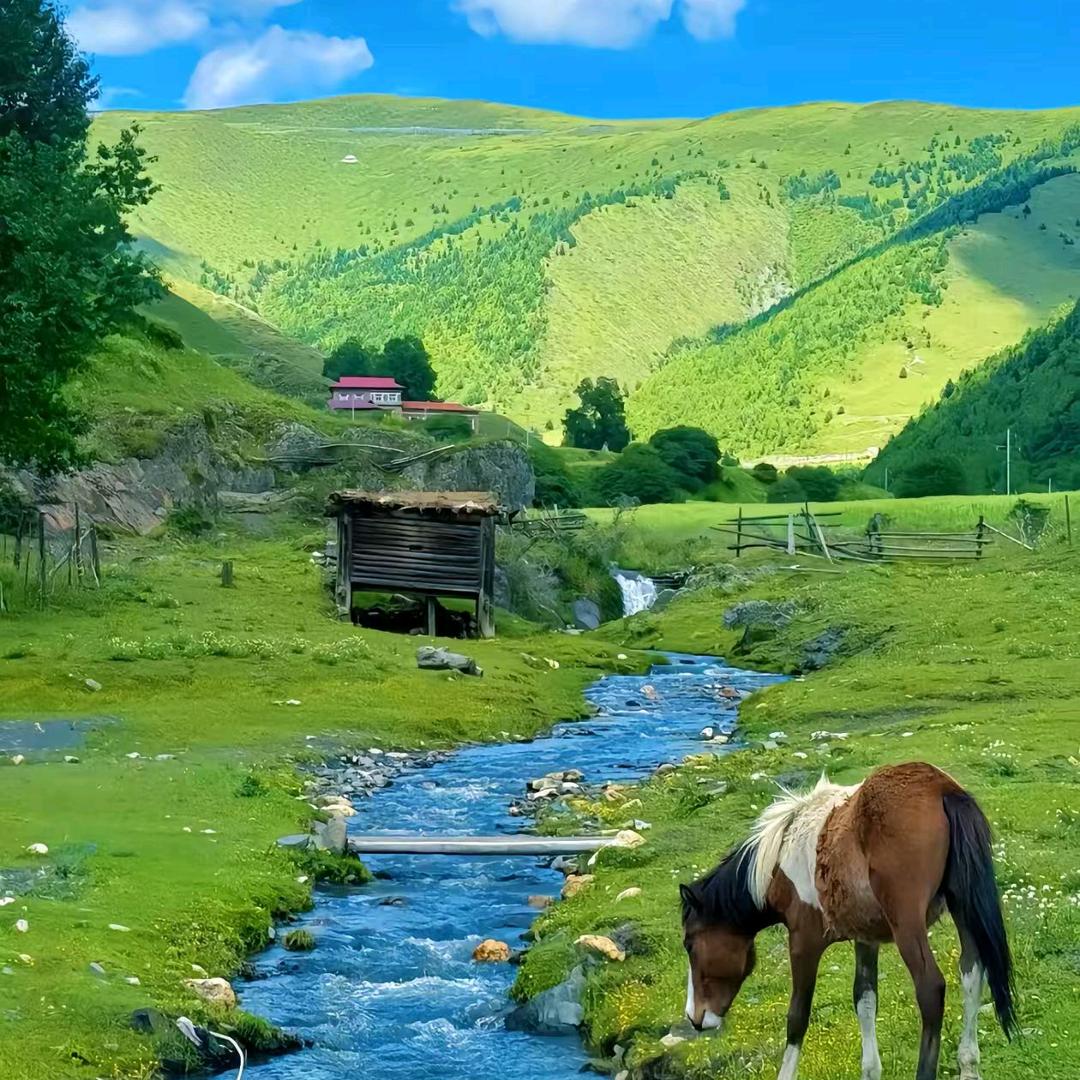 𝑷𝒂𝒔𝒔𝒊𝒐𝒏.