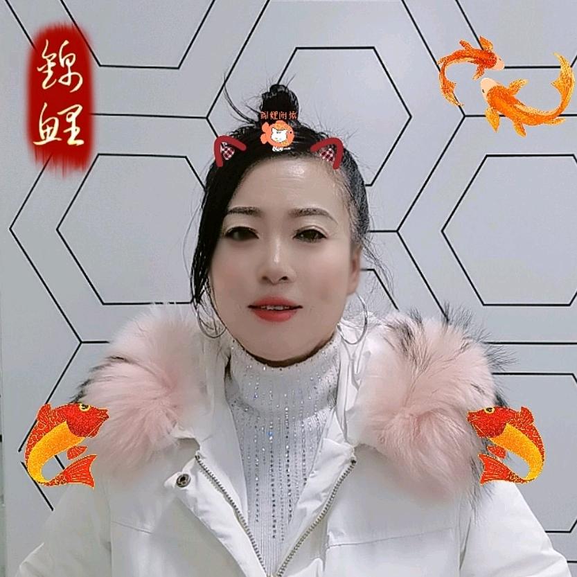 金堂锦鲤