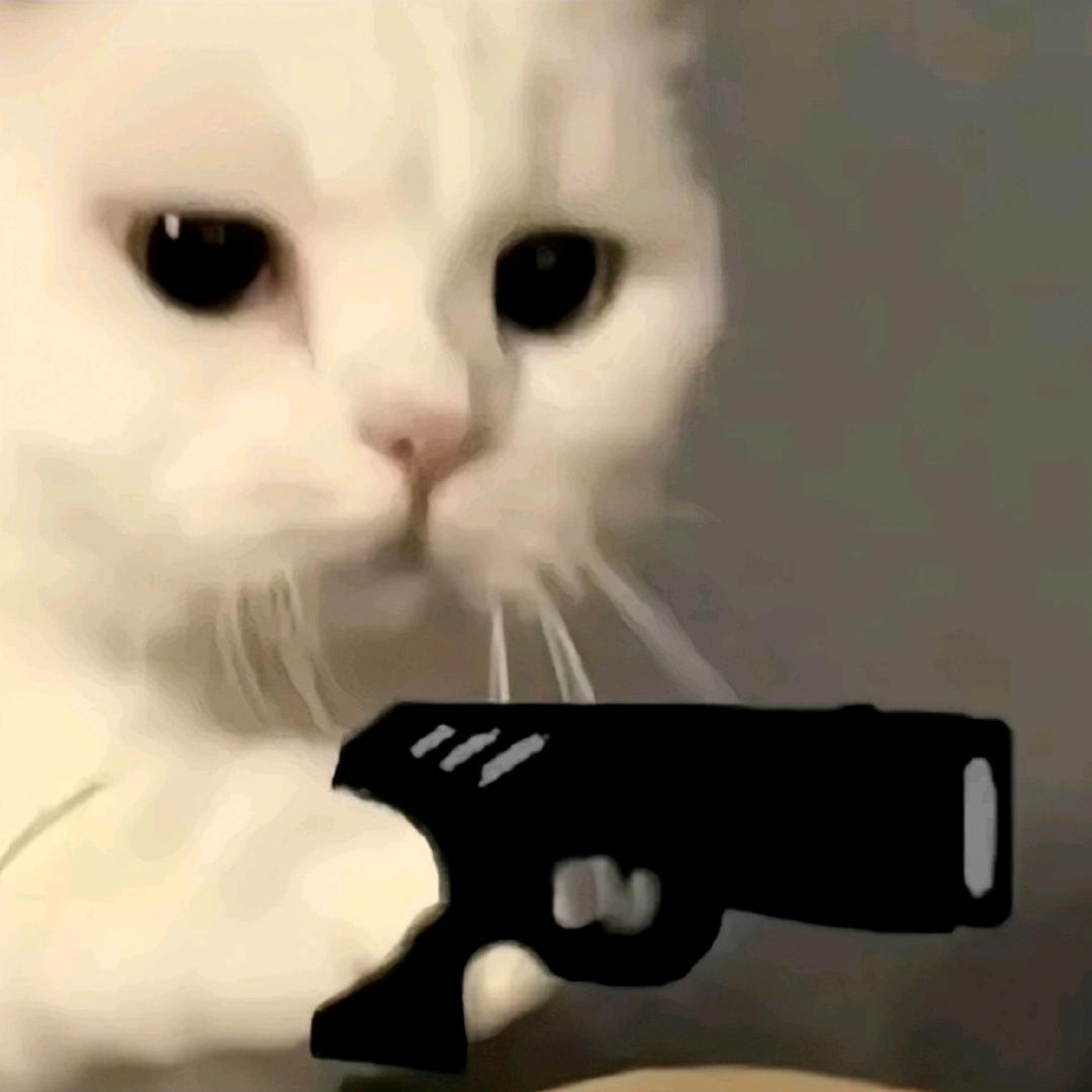 南海结冰就从良