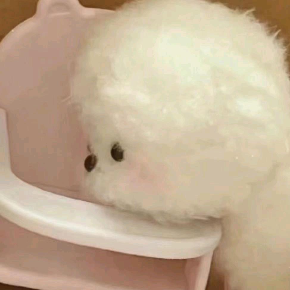 妄想山海--皮皮老默