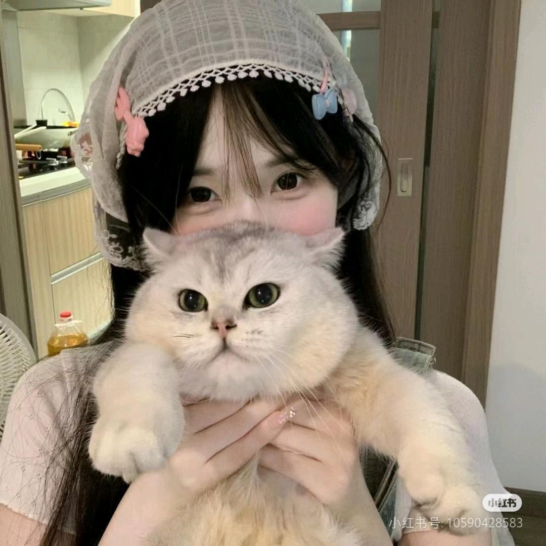 叮咚小鱼ʚ ɞ