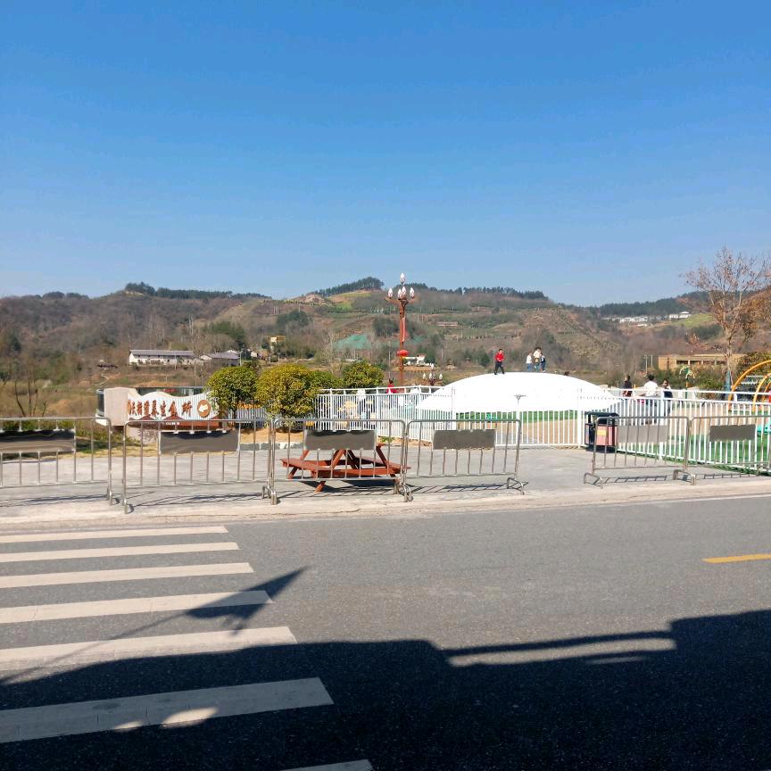 不离不弃的陪伴