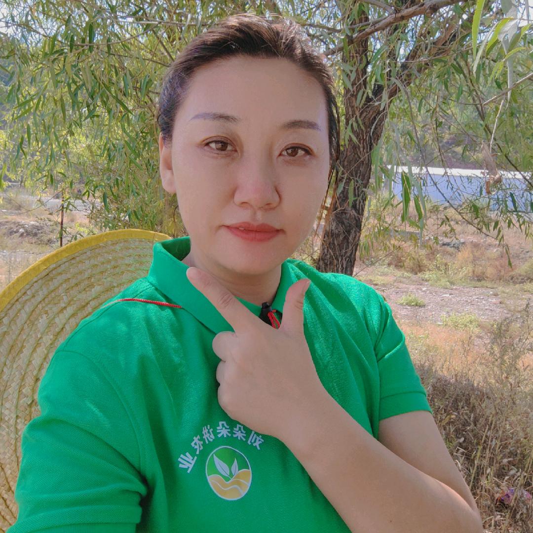 刘朵朵菜园