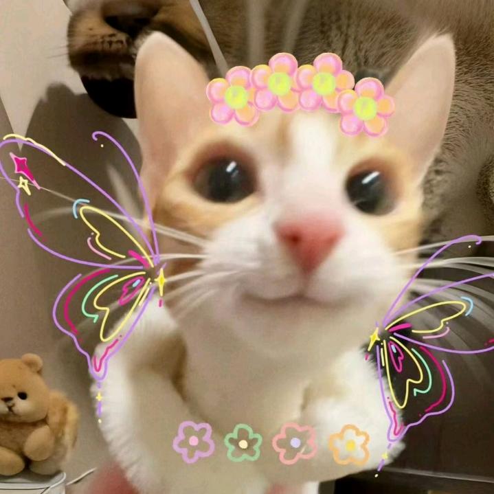 为什么那么累꒦ິ^꒦ິ