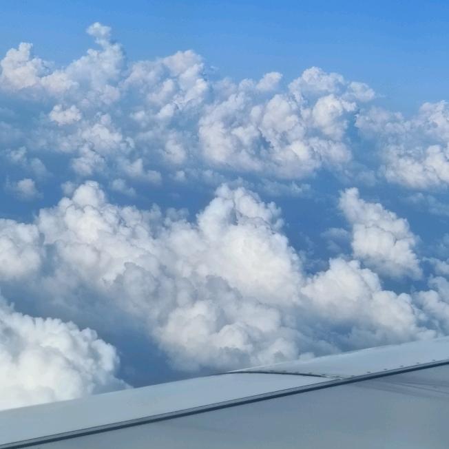 夏姐姐(红油拌菜)