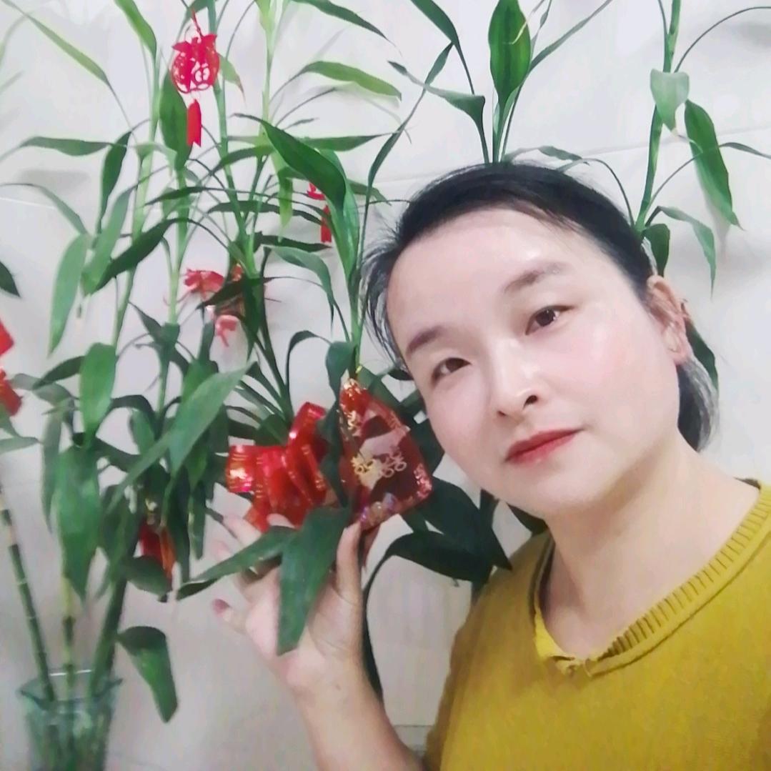 阿霞精选