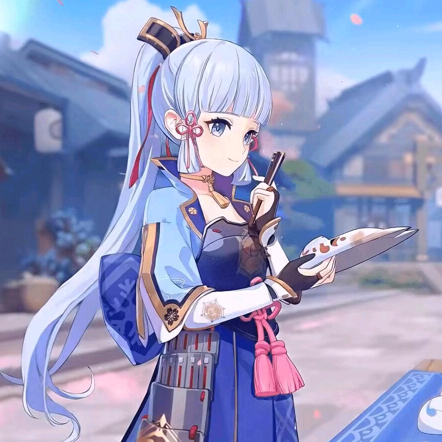 爱玩原神的九夜