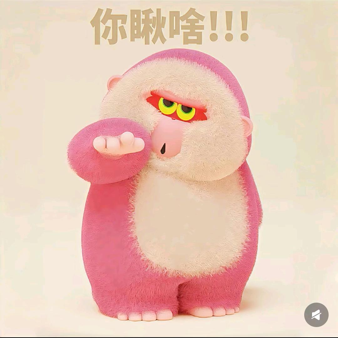 偷猩猩的贼🐒