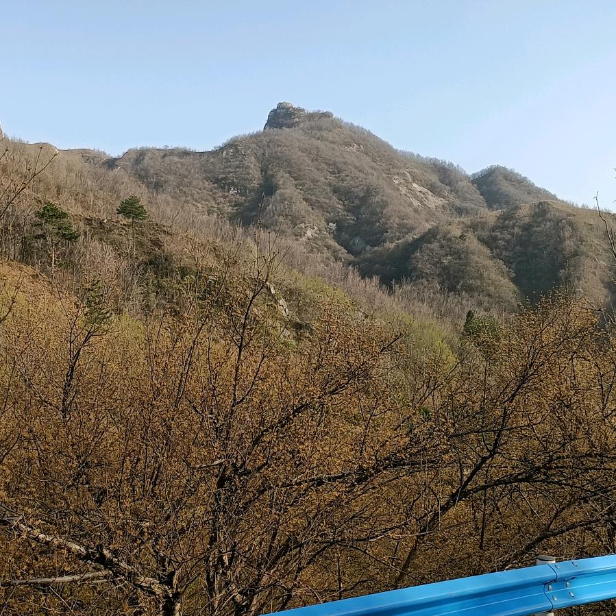 我在人间凑数