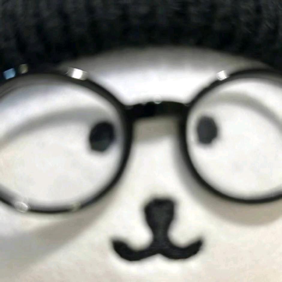 没头脑