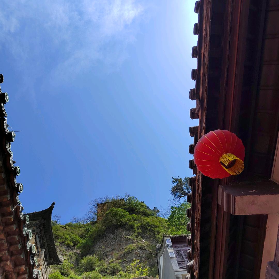 上路拽小鹿